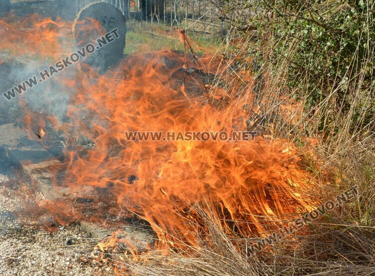 Пожар избухна в гробищен парк и тръгна към Войводово