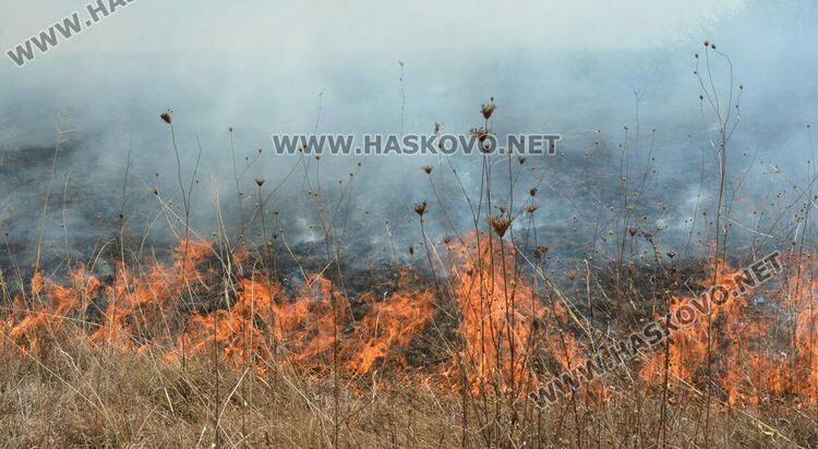 Пожар избухна в гробищен парк и тръгна към Войводово