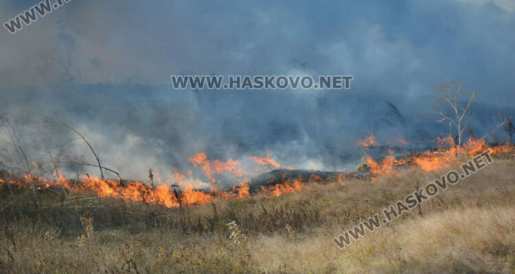 Пожар избухна в гробищен парк и тръгна към Войводово