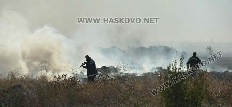 Пожар избухна в гробищен парк и тръгна към Войводово