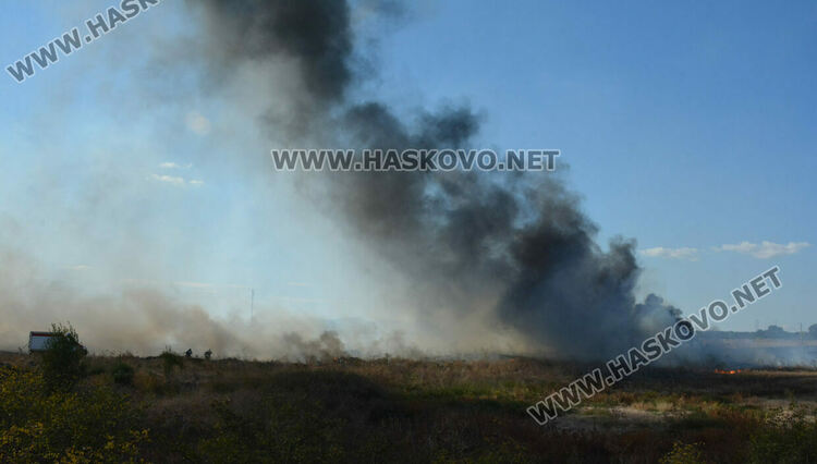 Пожар избухна в гробищен парк и тръгна към Войводово