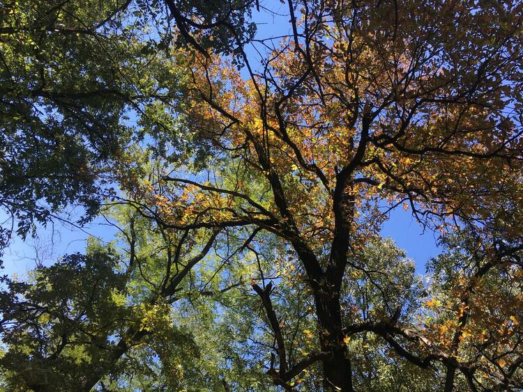 Есенно слънце през уикенда