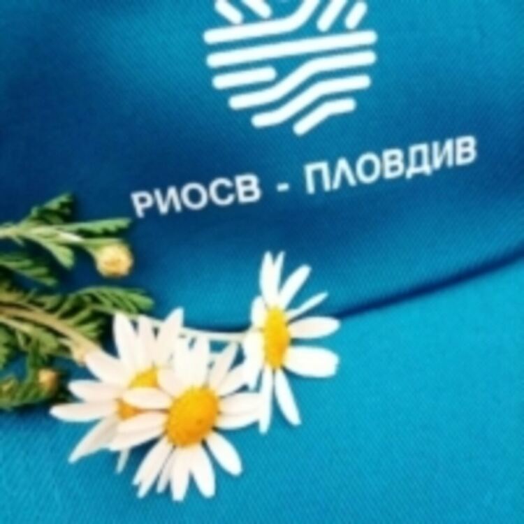 РИОСВ – Пловдив наложи санкции за 58 500 лева през септември