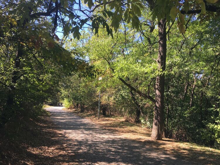 Слънчево и топло за сезона