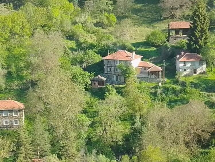 снимка Община Девин