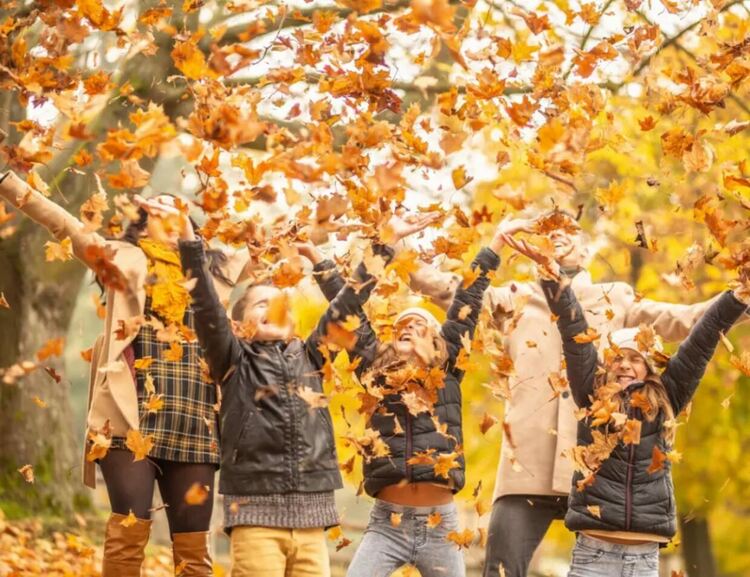 Студено утро, приятен ден