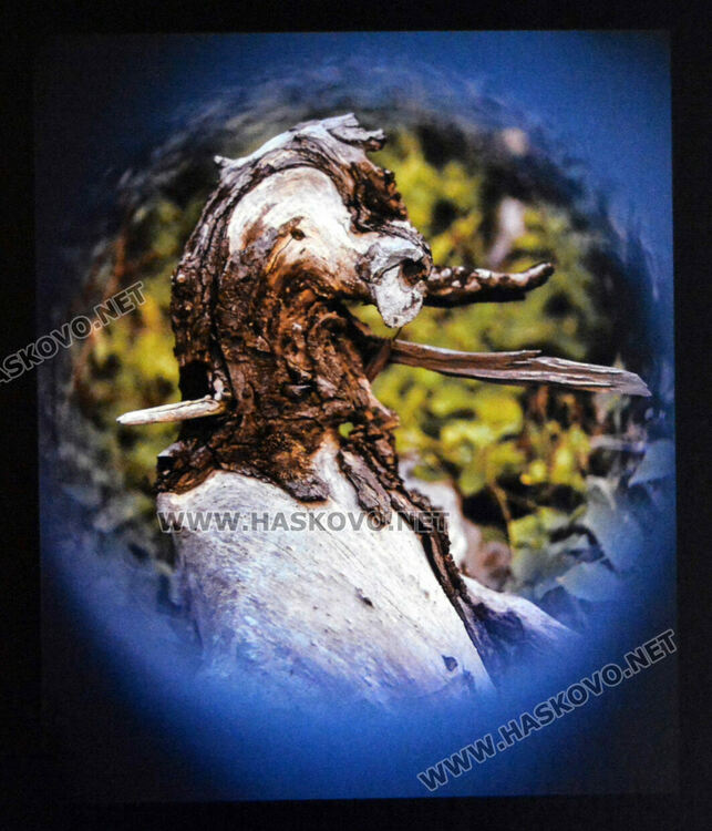 Показаха ретроспективна изложба на фотографа Илия Мирчев в Хасково