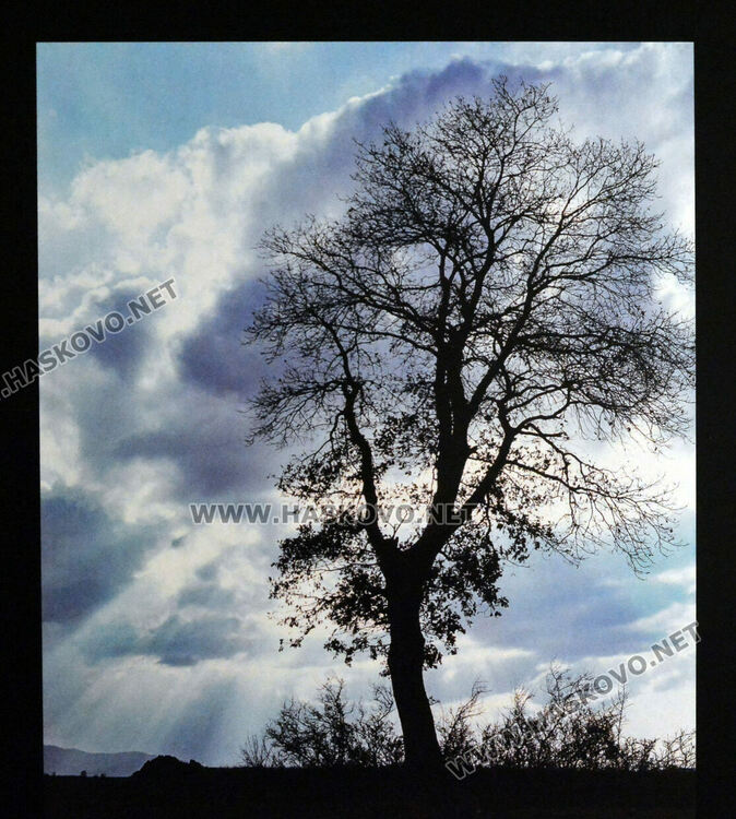 Показаха ретроспективна изложба на фотографа Илия Мирчев в Хасково