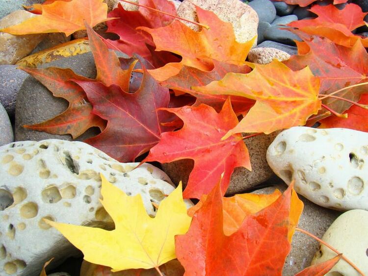 Приятно и слънчево във вторник време