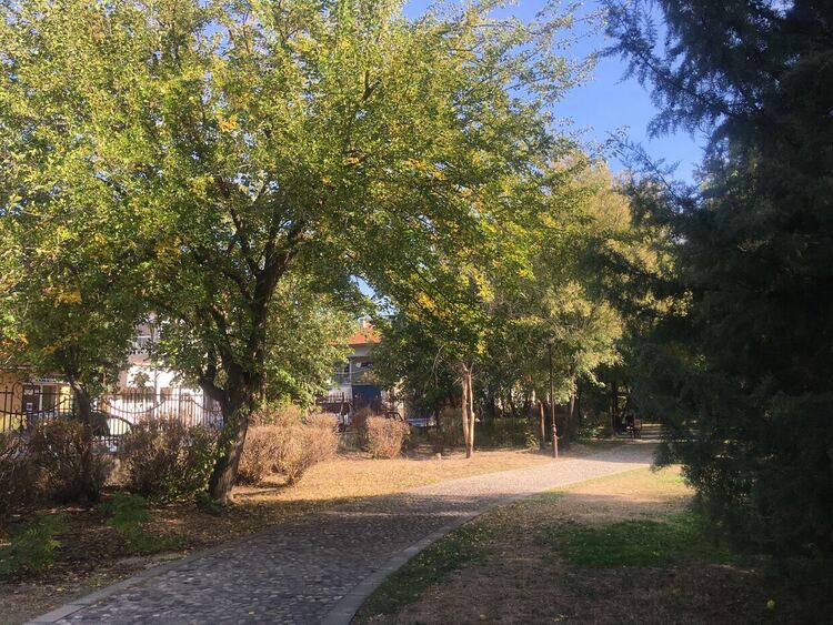 Първи слани, слънчево през деня