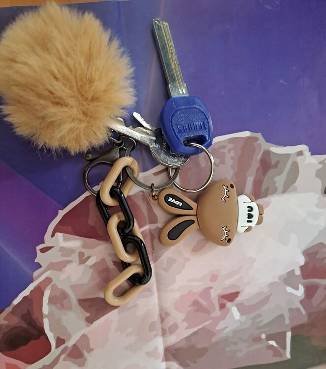 Издирва се собственикът на връзка ключове, изгубени до Попската градинка