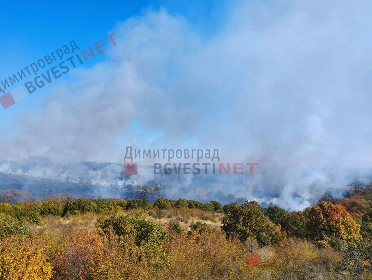 Избухна пожар край Хасково, УП Корен гори