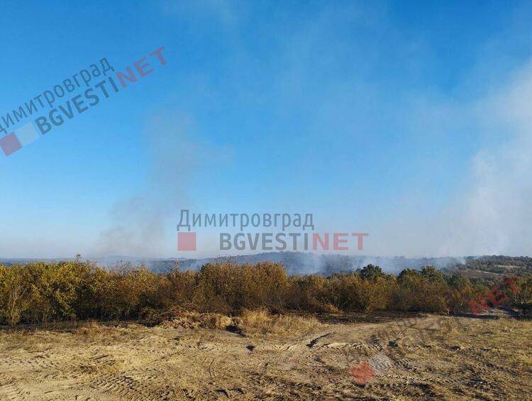 Избухна пожар край Хасково, УП Корен гори