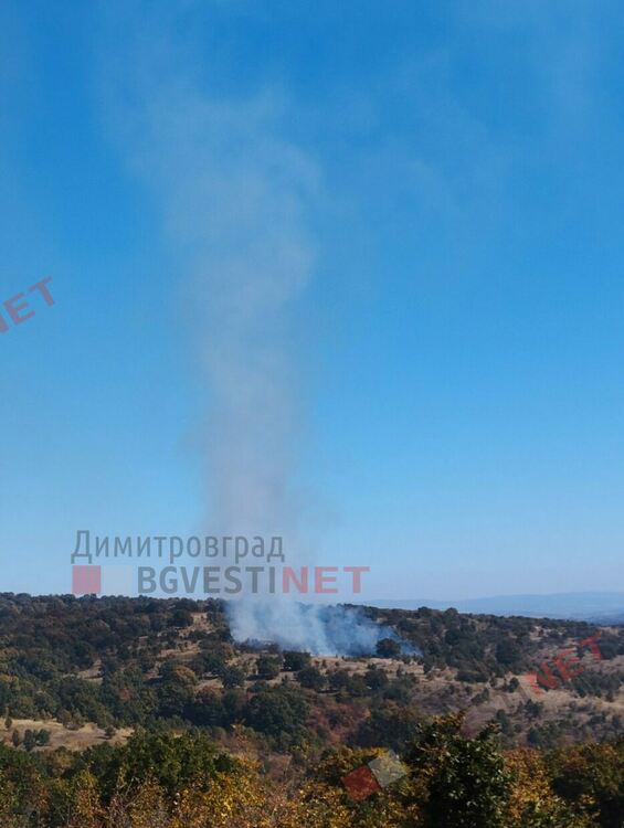 Избухна пожар край Хасково, УП Корен гори