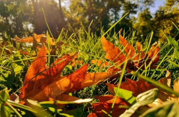 Слънчево и днес