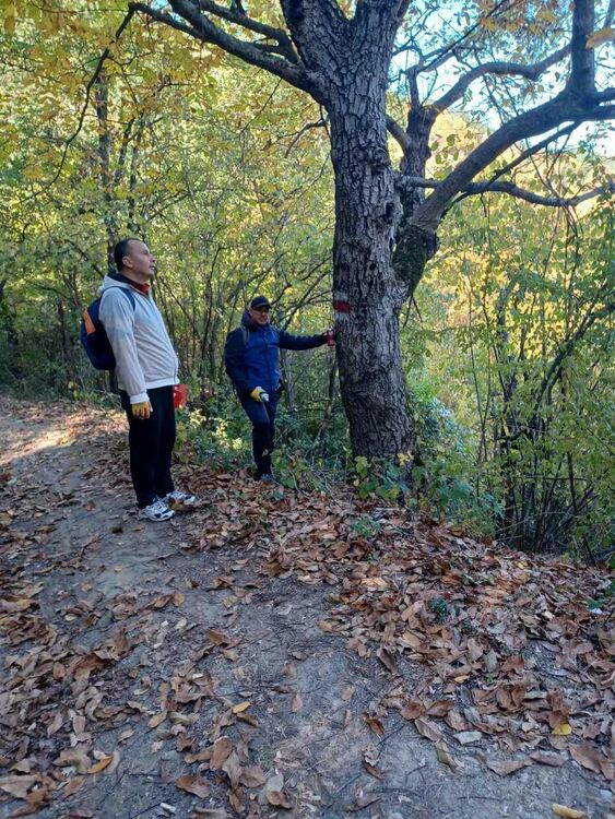 Екопътека свързва с.Дядовци с Дяволския мост