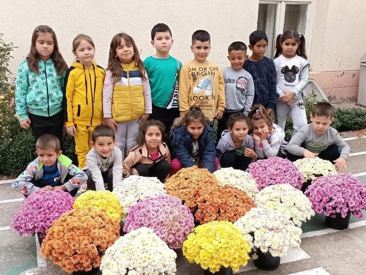 Десетки хризантеми разкрасиха село Градина