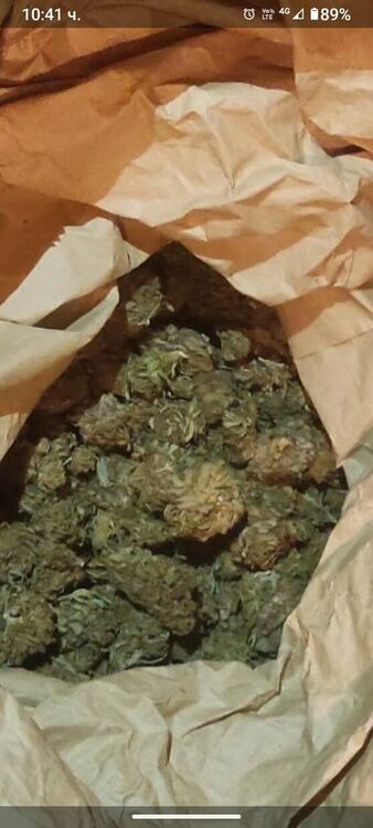 Десетима задържани заради наркотици при спецакции в Пловдивско