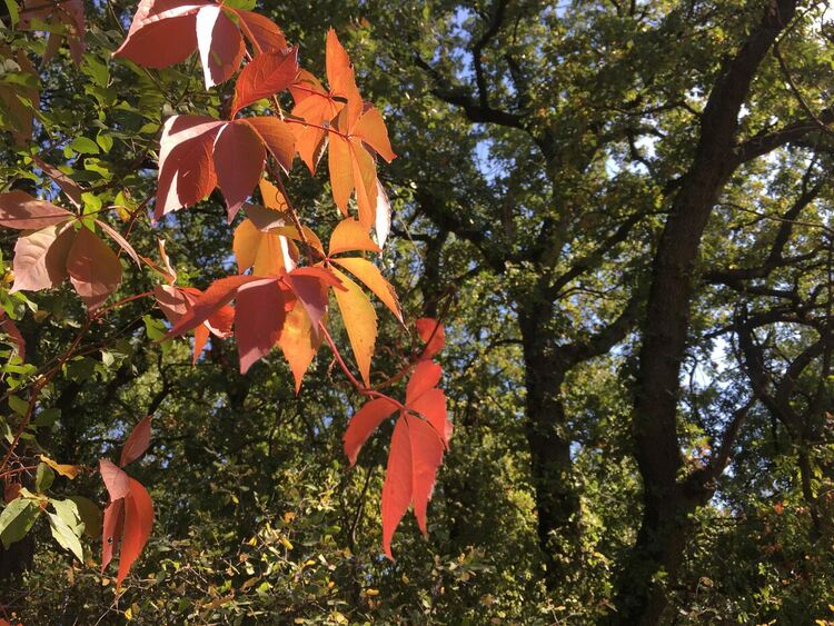 Предимно слънчево и по-хладно в петък