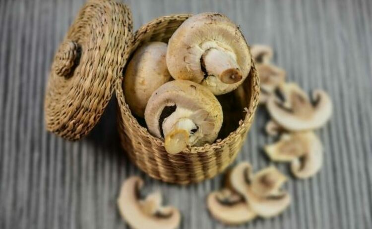 Печурките – природни пробиотици и антидепресанти