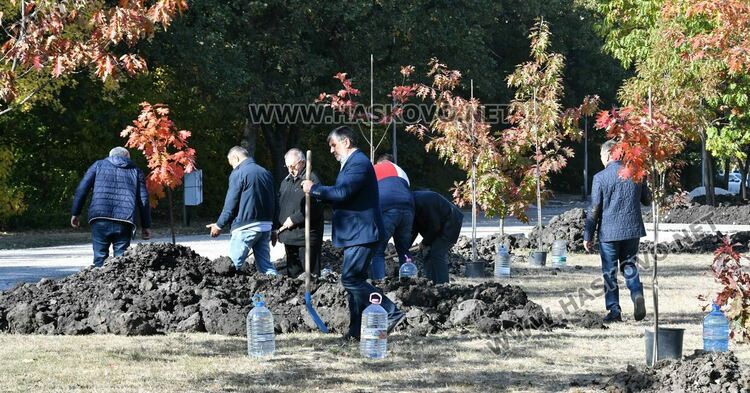 Красиво кътче за влюбени създадоха ротарианците в парк „Кенана“