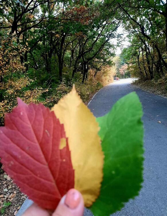 Снимка: Туристически информационен център - Хасково