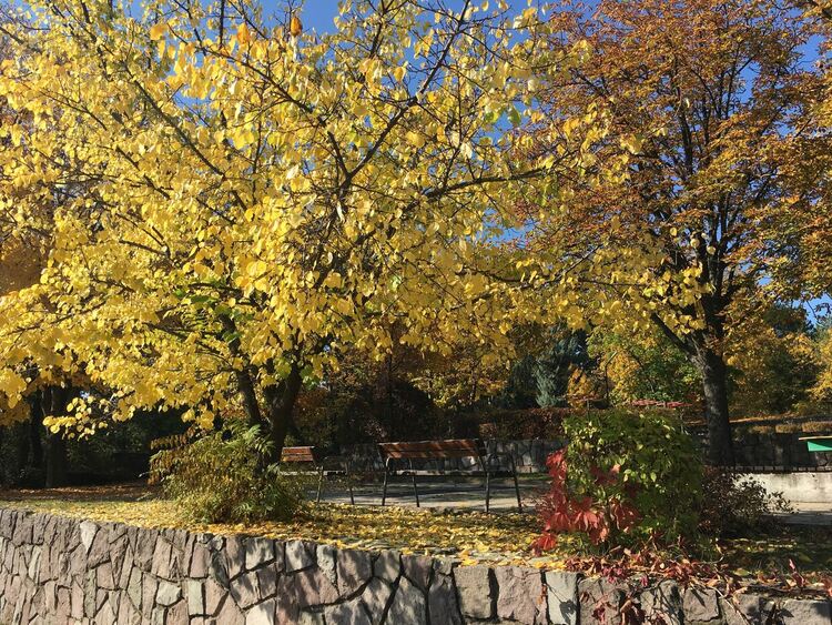 Слънчево и топло за сезона