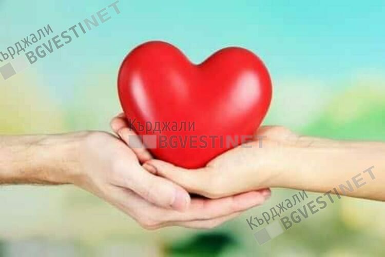 В детска градина "Мир" организират благотворителен базар за Габи