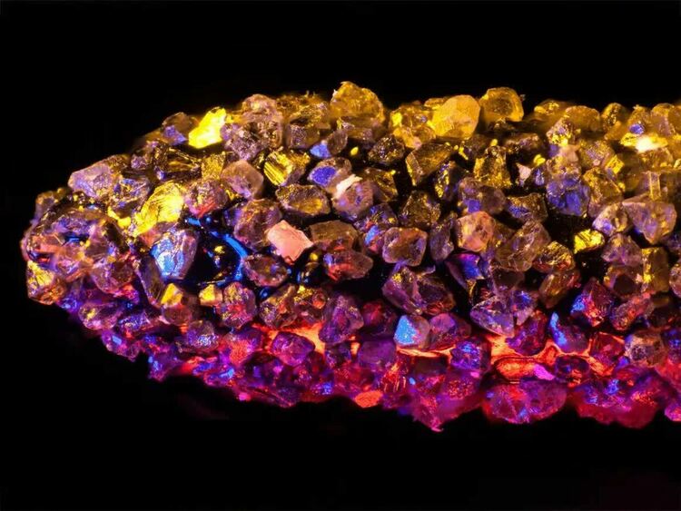 Чудовищата от малкия свят