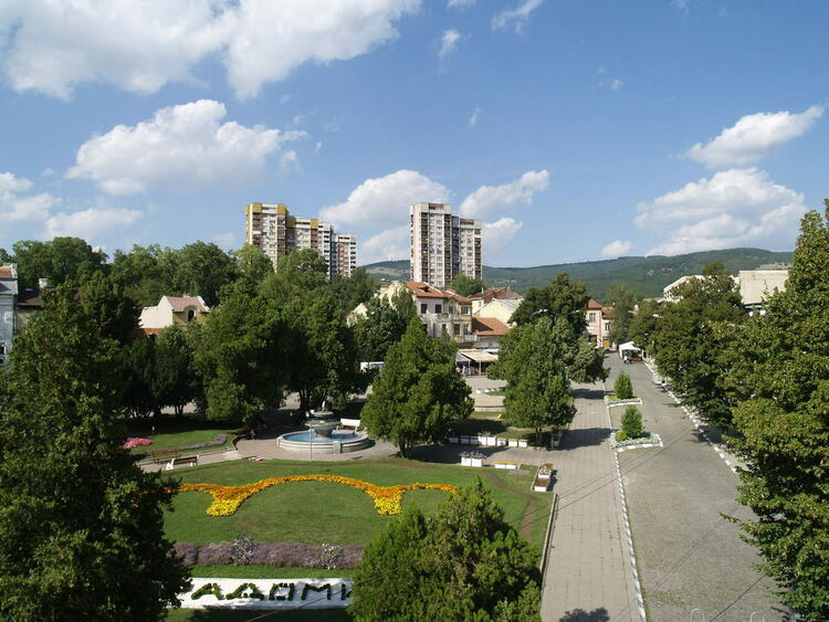 Над 700 цветя са засадени в Радомир