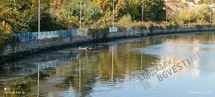 Преди в Арда са плували салове, сега я прекосяват дивани