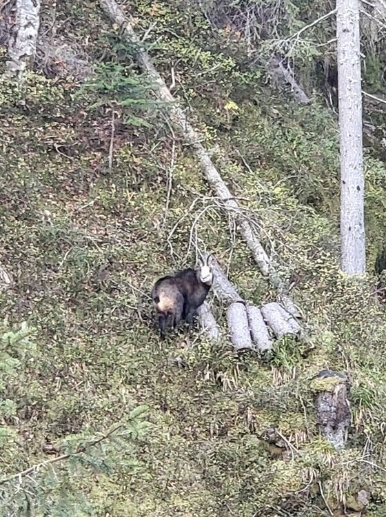 снимка: Metodi Belkovski