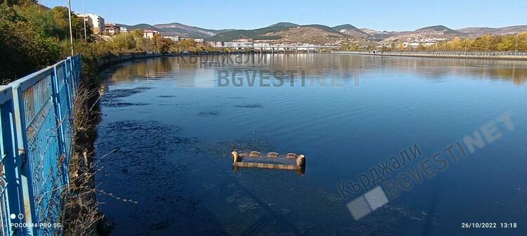 Преди в Арда са плували салове, сега я прекосяват дивани