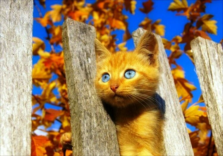 Предимно слънчево и топло в четвъртък