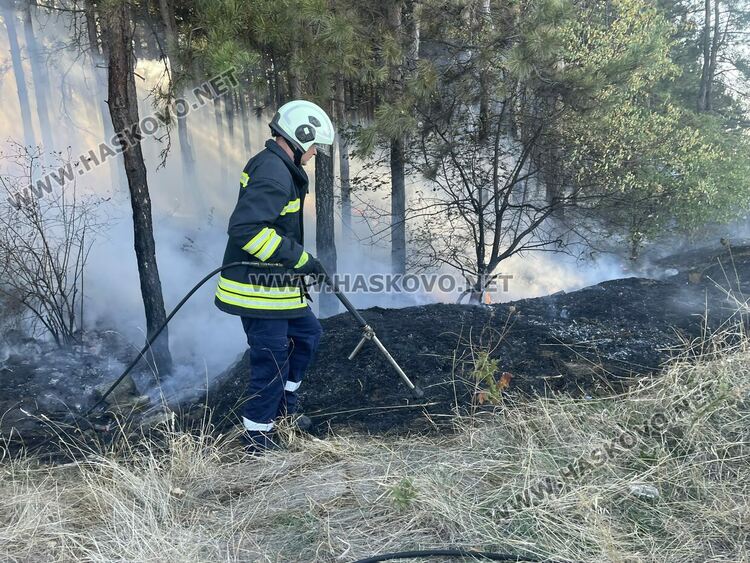 Пожар избухна в горичката до хасковския ТЕЦ