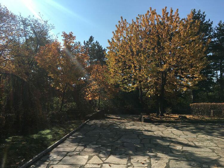 Слънчево в петък, сутрешни мъгли на места