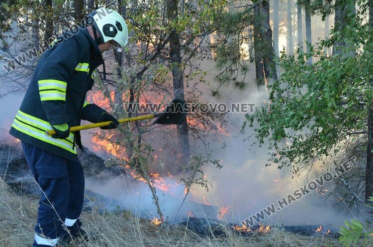 Пожар избухна в горичката до хасковския ТЕЦ