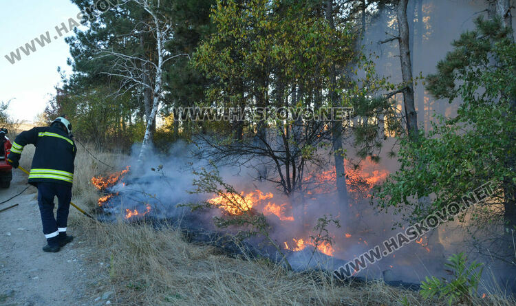 Пожар избухна в горичката до хасковския ТЕЦ