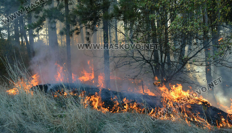 Пожар избухна в горичката до хасковския ТЕЦ