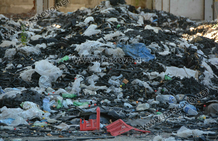 Пожар избухна в горичката до хасковския ТЕЦ