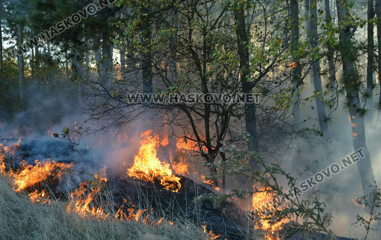 Пожар избухна в горичката до хасковския ТЕЦ