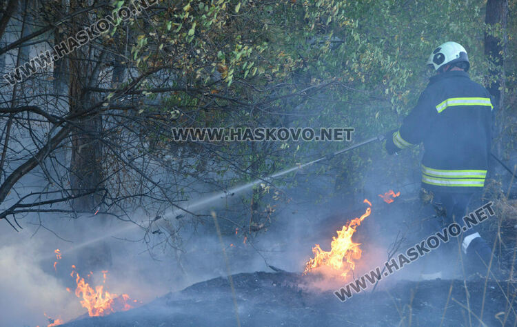 Пожар избухна в горичката до хасковския ТЕЦ