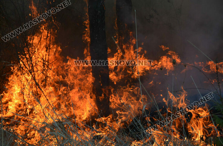 Пожар избухна в горичката до хасковския ТЕЦ