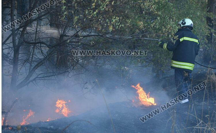 Пожар избухна в горичката до хасковския ТЕЦ