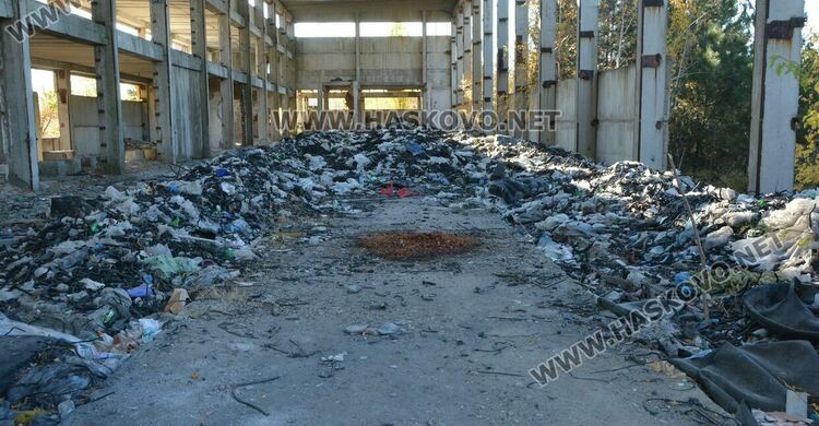 Пожар избухна в горичката до хасковския ТЕЦ