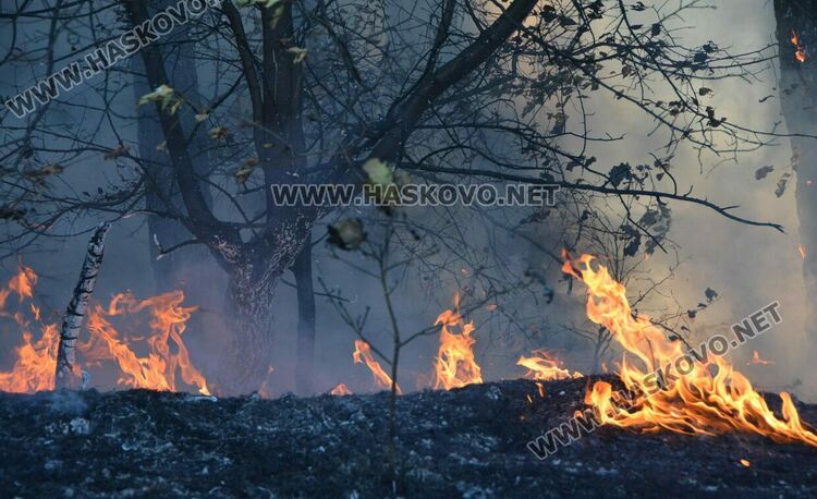 Пожар избухна в горичката до хасковския ТЕЦ