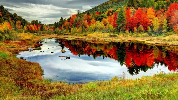 Слънчево и топло в неделя