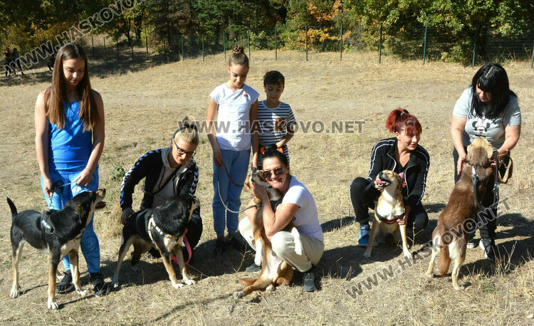 Зоодоброволци от Хасково предлагат изоставени кучета за осиновяване 