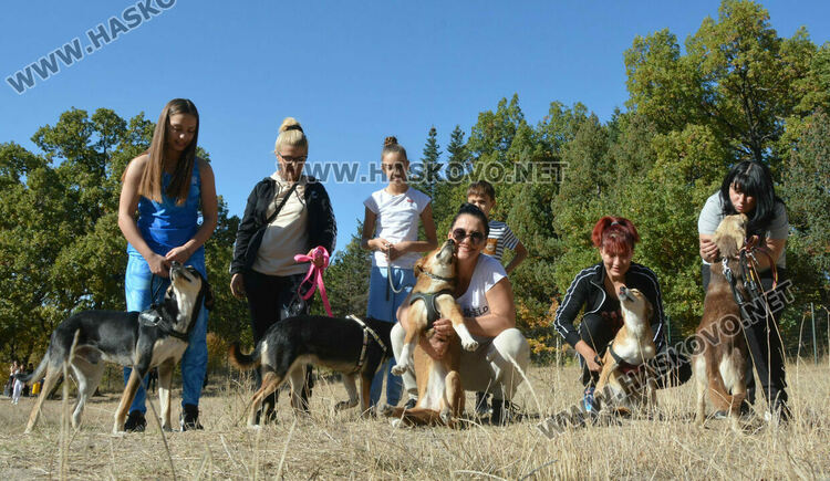 Зоодоброволци от Хасково предлагат изоставени кучета за осиновяване 