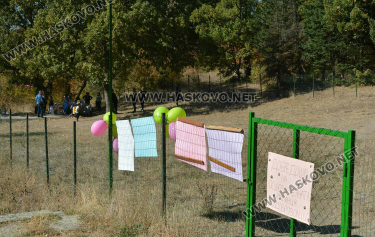 Зоодоброволци от Хасково предлагат изоставени кучета за осиновяване 